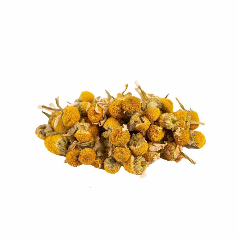 Camomile Blossoms